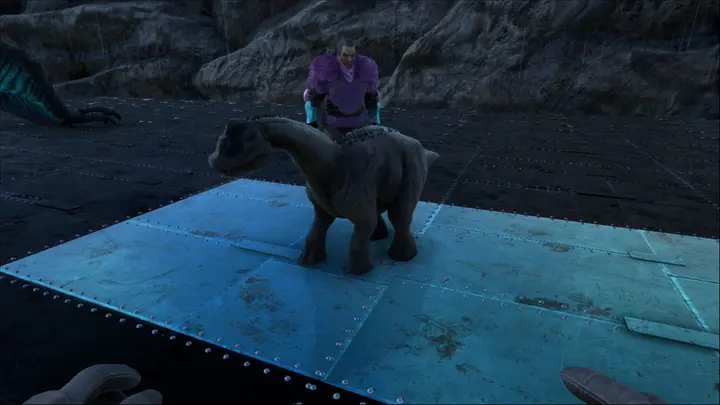 Baby Brontosaurus