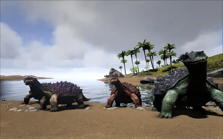 Carbonemys family takes a break on the south coast