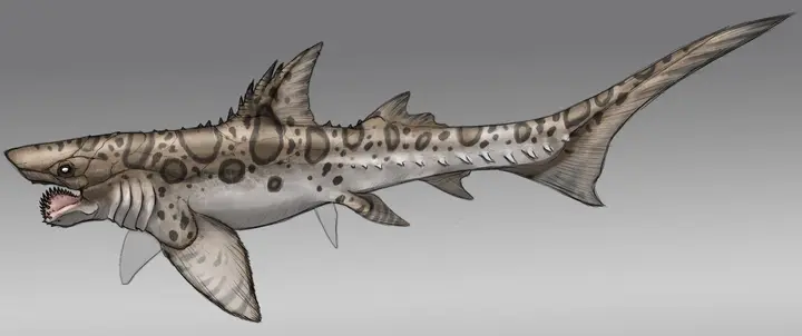 Concept Art