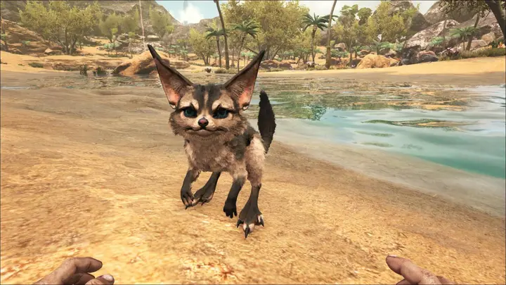 In-game appearance