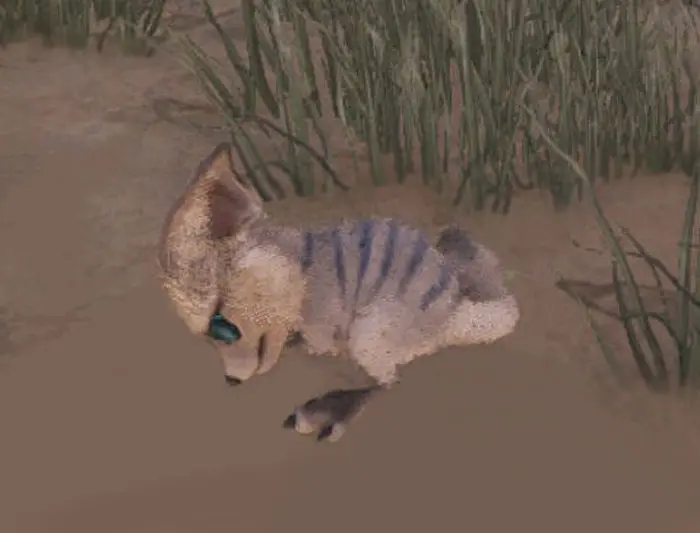 Baby Jerboa