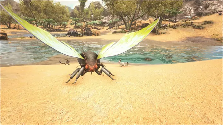 In-game appearance
