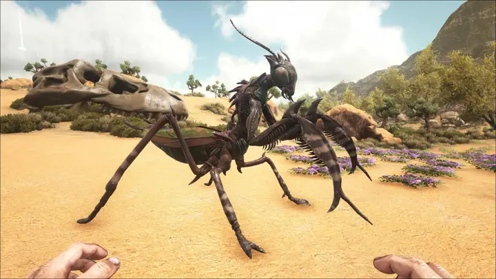In-game Appearance