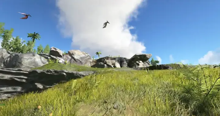 Wild ''Pteranodons'' flying
