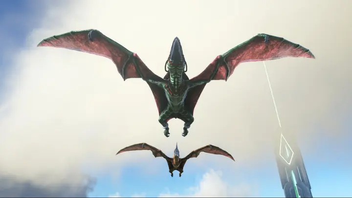An underside of ''Pteranodons'' flying
