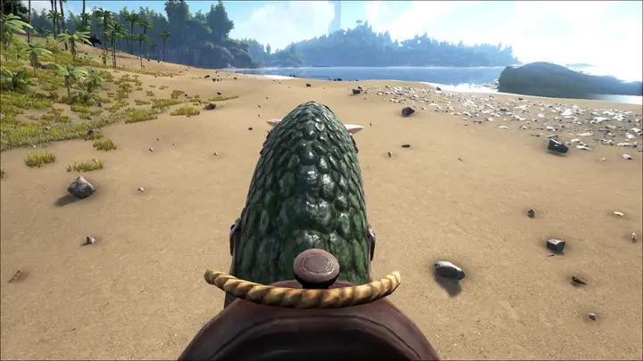 1st person view when riding.