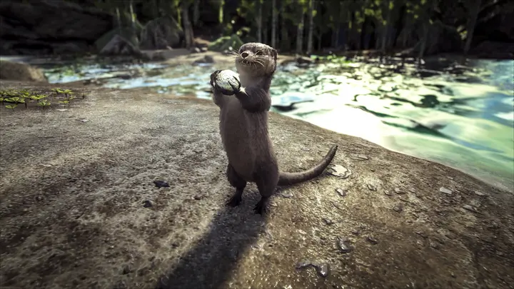 Otter with a Silica Pearl
