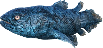 Aberrant Coelacanth