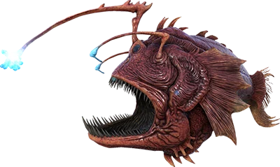 Anglerfish