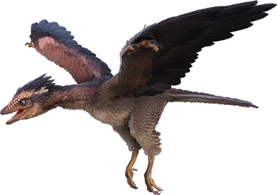 Archaeopteryx