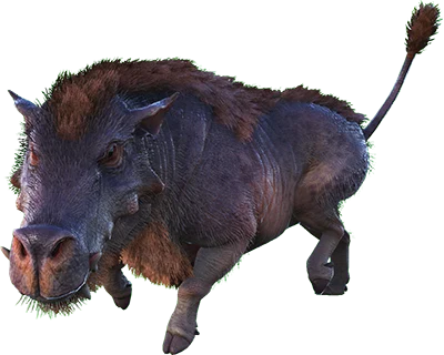 Daeodon
