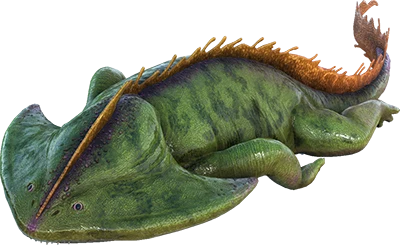 Diplocaulus