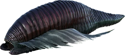 Diseased Leech