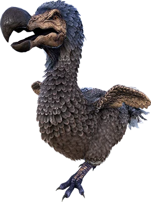 Dodo