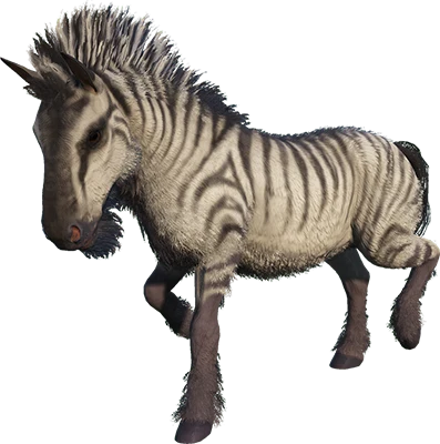 Equus