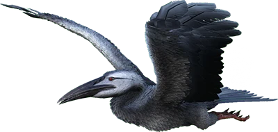 Ichthyornis