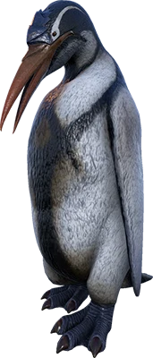 Kairuku