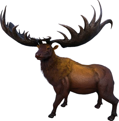 Megaloceros