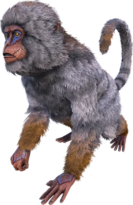 Mesopithecus
