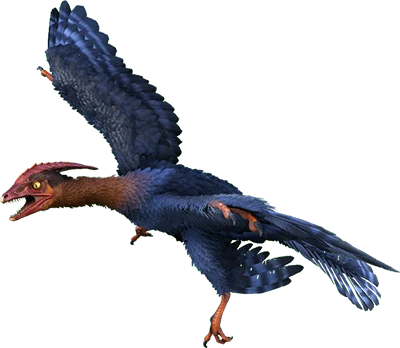 Microraptor