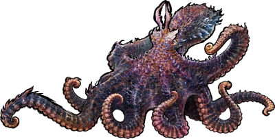 Palaeoctopus