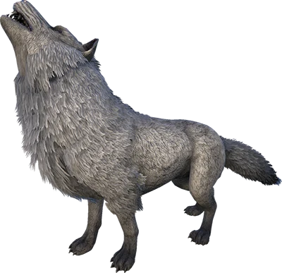 R-Direwolf