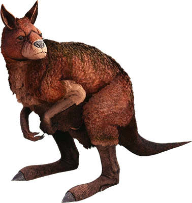 R-Procoptodon