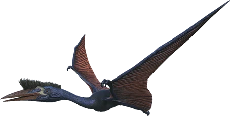 R-Quetzal