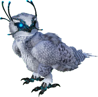 R-Snow Owl