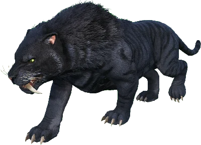 Sabertooth