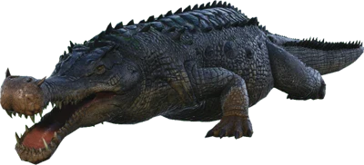 Sarco