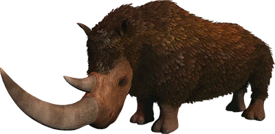 Woolly Rhino
