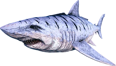 X-Megalodon