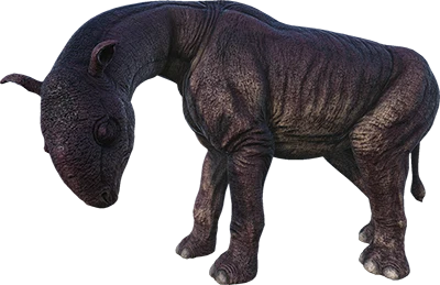 X-Paraceratherium