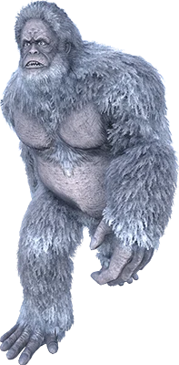 Yeti