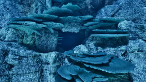 Underwater Cave 2