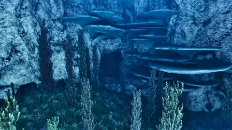 Underwater Cave 3
