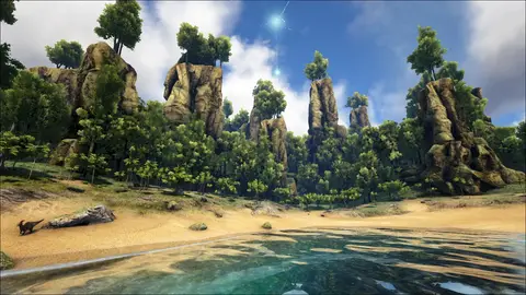 Jungle North Beach
