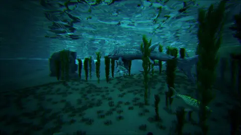 Ocean Under Center
