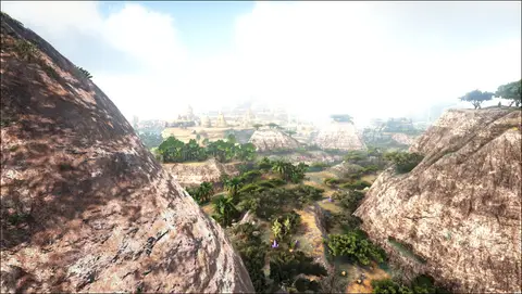 Desert Savannah