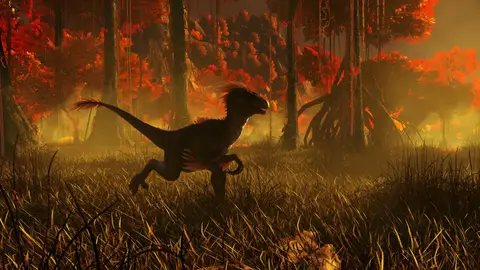 Fire Swamp