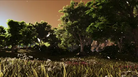 Halcyon Plains