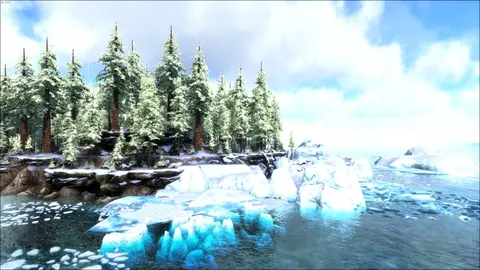 The Great Forest North