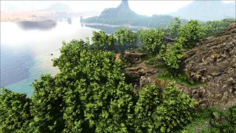 Bamboo grove