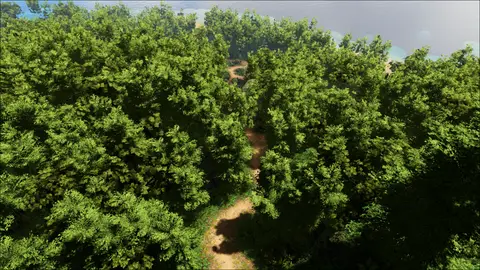 Bamboo Pass