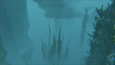 Bin Da Ocean