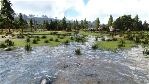 Boskar Bog
