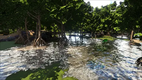 Boskar Mangroves