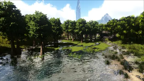 Boskar Swamp