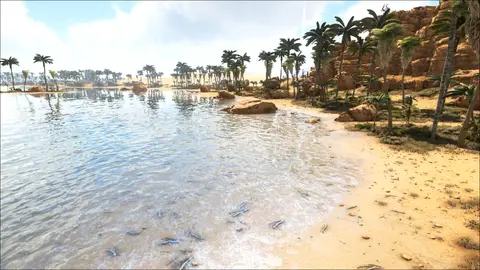 Bright Lion Beach